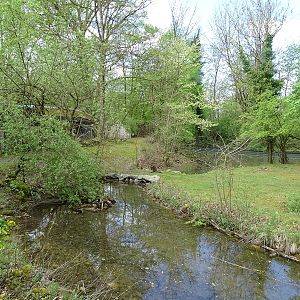 Swamp wallaby and emu enclosure