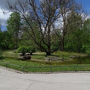 Agile wallaby enclosure