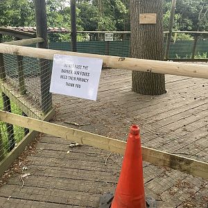 Arctic Fox Enclosure Signage