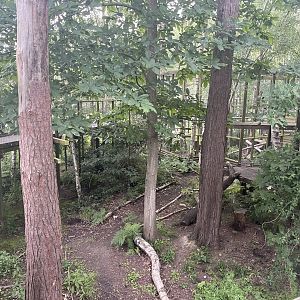 Arctic Fox Enclosure (2)