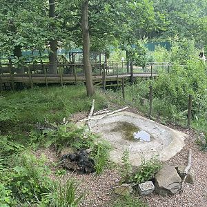 Arctic Fox Enclosure (3)