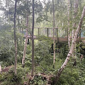 Arctic Fox Enclosure (4)