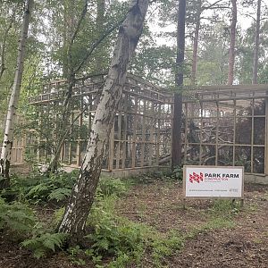 Newly Constructed Pine Marten Enclosures