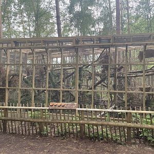 Newly Constructed Pine Marten Enclosure.
