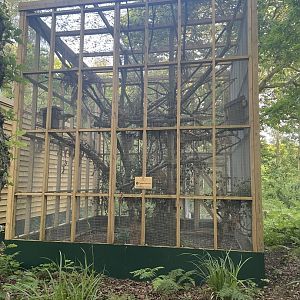 Red Squirrel Enclosure