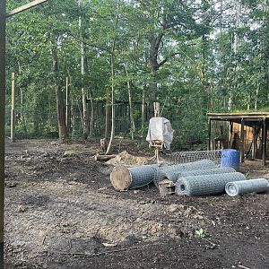 Red Fox Enclosure Development (1)