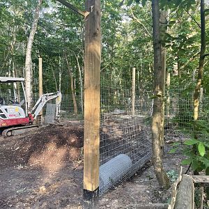 Red Fox Enclosure Development (2)