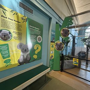 Hamill Family Play Zoo - Indoor Koala Exhibit & Signage