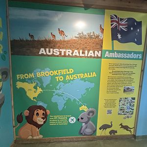 Hamill Family Play Zoo - Indoor Koala Exhibit Signage