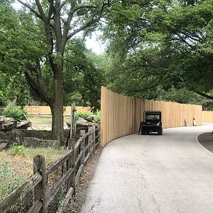 Pachyderm House- new fence