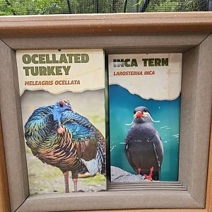 Another new bird sign