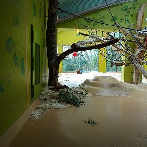 Welt der Affen; orangutan enclosure