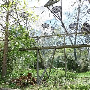 Welt der Affen; orangutan enclosure