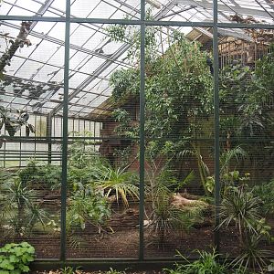 Paradies-Halle - Madagascar aviary in African walk-through hall, 2024-05-22