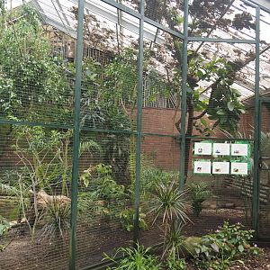 Paradies-Halle - Madagascar aviary in African walk-through hall, 2024-05-22