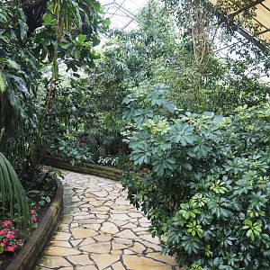 Paradies-Halle - African walk-through tropical hall, 2024-05-22