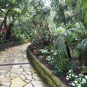 Paradies-Halle - African walk-through tropical hall, 2024-05-22