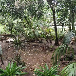 Paradies-Halle - African walk-through tropical hall, 2024-05-22