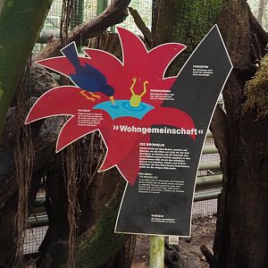 Sign about the ecology of Bromeliads, 2024-05-22
