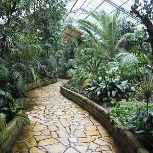 Paradies-Halle - African walk-through tropical hall, 2024-05-22