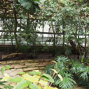 Paradies-Halle - African walk-through tropical hall - Pond, 2024-05-22