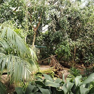 Paradies-Halle - African walk-through tropical hall, 2024-05-23