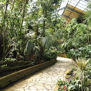 Paradies-Halle - African walk-through tropical hall, 2024-05-23