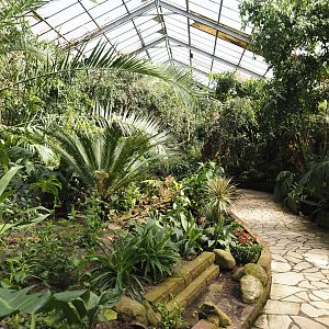 Paradies-Halle - African walk-through tropical hall, 2024-05-23
