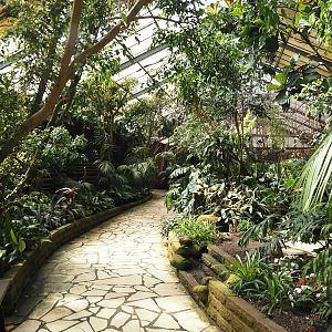 Paradies-Halle - African walk-through tropical hall, 2024-05-23