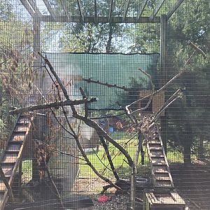 North American Porcupine Exhibit