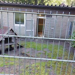 Outdoor area for domesticated guinea pigs and rabbits