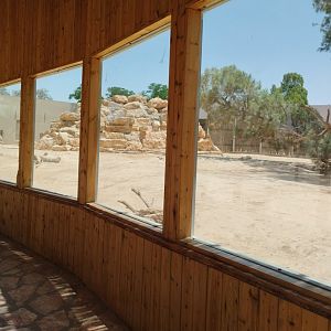 Midbarium - Striped Hyena