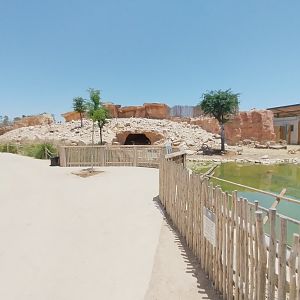 Midbarium - Nubian Ibex