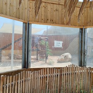 Midbarium - future caracal enclosure