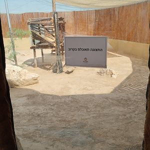 Midbarium - future caracal enclosure