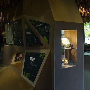 Welt der Affen: Educational display