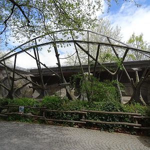 Welt der Affen: drill outoor enclosure