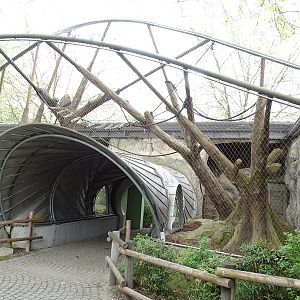 Welt der Affen: mangabey/drill outoor enclosure