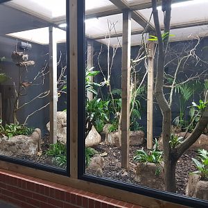 Finished Pygmy Marmoset Enclosure