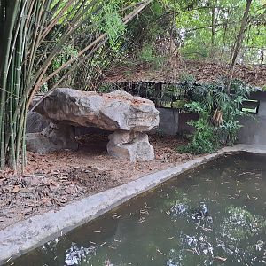 Enclosure for False Gharials- Chiang Mai Zoo