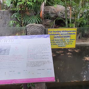 Enclosure for Chinese Softshell Turtles