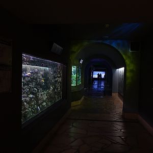 Aquarium building