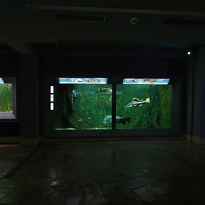 Aquarium building