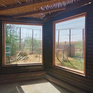 Midbarium - Red-billed Hornbill & Violet Turaco