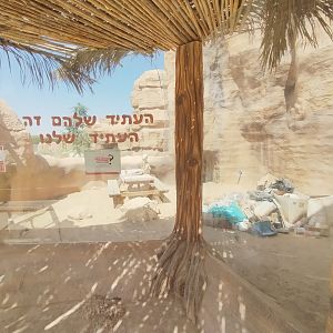 Midbarium - The future of humanity