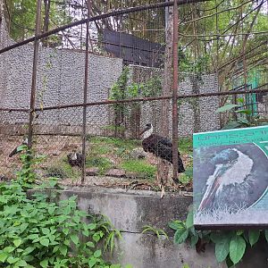 Aviary for Wooly-necked Stork- Chiang Mai Zoo
