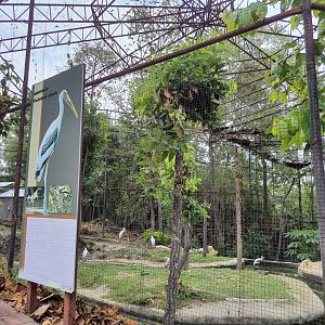 Aviary for Painted Storks