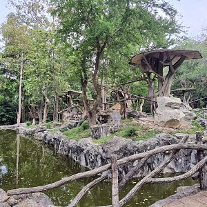 Gibbon Islands- Chiang Mai Zoo