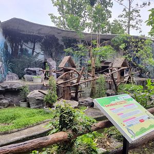 Ring Tailed Lemur Exhibit
