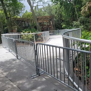 Amur Leopard Exhibit About Finished